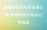 珍惜的句子说说心情短语(100句)