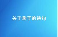 关于燕子的诗句61句汇总