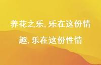 养花之乐,乐在这份情趣,乐在这份性情74句汇总 养花之乐,乐在这份情趣,乐在这份性情74句汇总