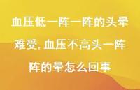 血压不高头一阵阵的晕怎么回事(100句) 血压不高头一阵阵的晕怎么回事(100句)