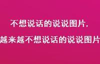 越来越不想说话的说说图片(100句) 越来越不想说话的说说图片(100句)