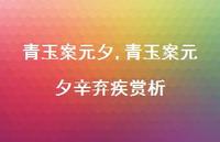 青玉案元夕辛弃疾赏析【100句文案精选】