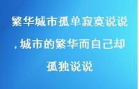 城市的繁华而自己却孤独说说(100句)