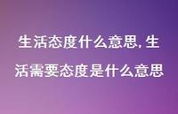 生活需要态度是什么意思【精选100句】