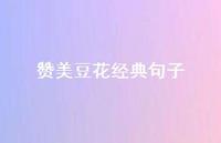赞美豆花经典句子【100句精选短句合集】