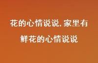家里有鲜花的心情说说【100句文案】