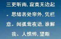 三更听雨,寂寞无边起。思绪著处帘外,凭栏意。闻孤莺夜语,谁解我、人憔悴,望断65句汇总