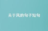 关于风的句子短句(精选66句) 关于风的句子短句(精选66句)