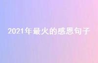 2021年最火的感恩句子68句汇总