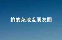 拍的菜地发朋友圈【100句精选短句合集】 拍的菜地发朋友圈【100句精选短句合集】
