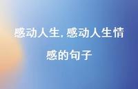 感动人生情感的句子【精品文案100句】