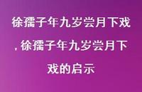 徐孺子年九岁尝月下戏的启示【100句文案精选】