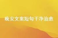 晚安文案短句干净治好47句汇总 晚安文案短句干净治好47句汇总