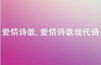 爱情诗歌现代诗【100句文案精选】 爱情诗歌现代诗【100句文案精选】