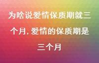 爱情的保质期是三个月(100句) 爱情的保质期是三个月(100句)