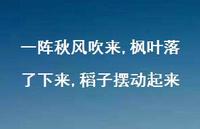 一阵秋风吹来,枫叶落了下来,稻子摆动起来【100句精选短句合集】
