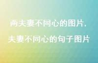 夫妻不同心的句子图片(100句)
