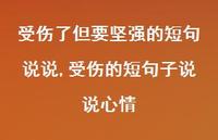 受伤的短句子说说心情(100句) 受伤的短句子说说心情(100句)