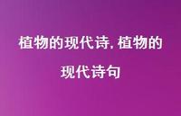 植物的现代诗句【精品文案100句】