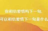 可以相信爱情下一句是什么(100句) 可以相信爱情下一句是什么(100句)