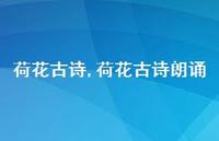 荷花古诗朗诵【精品文案100句】