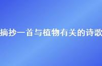摘抄一首与植物有关的诗歌40句汇总 摘抄一首与植物有关的诗歌40句汇总