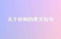 关于梧桐的唯美短句41句汇总