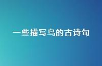 一些描写鸟的古诗句(精选56句)