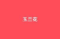 玉兰花45句汇总 玉兰花45句汇总