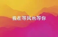 我在等风也等你【100句精选短句合集】