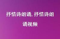 抒情诗朗诵视频【100句文案精选】