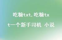 吃糖txt一个新手司机 小说【100句文案】 吃糖txt一个新手司机 小说【100句文案】