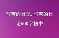 写雪的日记500字初中【100句文案精选】 写雪的日记500字初中【100句文案精选】