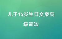 儿子15岁生日文案高级简短【100句精选短句合集】