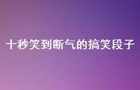 十秒笑到断气的搞笑段子【100句精选短句合集】