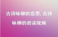 古诗咏柳的朗读视频【精品文案100句】 古诗咏柳的朗读视频【精品文案100句】