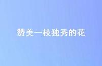 赞美一枝独秀的花【100句精选短句合集】