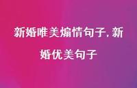 新婚优美句子(100句)