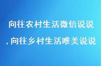 向往乡村生活唯美说说【100句文案】