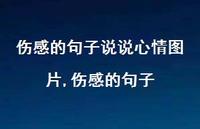 伤感的句子【100句文案】