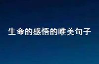 生命的感悟的唯美句子68句汇总