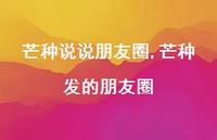 芒种发的朋友圈(100句)