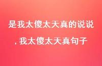 我太傻太天真句子【精选100句】