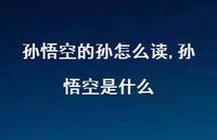孙悟空是什么【精选100句】