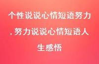 努力说说心情短语人生感悟【100句文案】 努力说说心情短语人生感悟【100句文案】