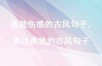 表达孤独的古风句子【精选100句】