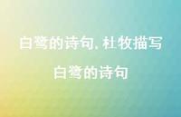 杜牧描写白鹭的诗句【精品文案100句】