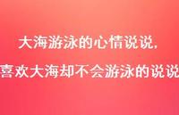 喜欢大海却不会游泳的说说(100句) 喜欢大海却不会游泳的说说(100句)