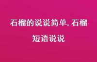 石榴短语说说(100句)