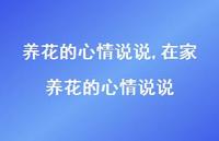 在家养花的心情说说(100句)